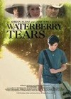 Waterberry Tears3.jpg